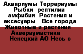 Аквариумы.Террариумы.Рыбки, рептилии, амфибии. Растения и аксесуары - Все города Животные и растения » Аквариумистика   . Ненецкий АО,Несь с.